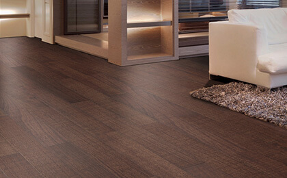 第二阶段（2001-2010）